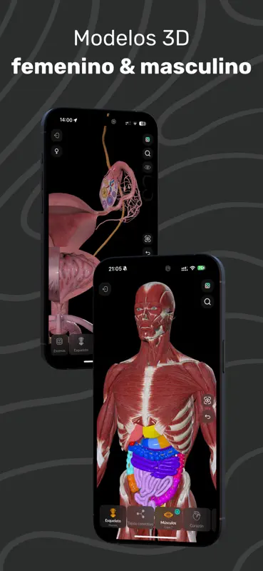 Easy Anatomy 3D con Voice AI screenshot 2 of 9
