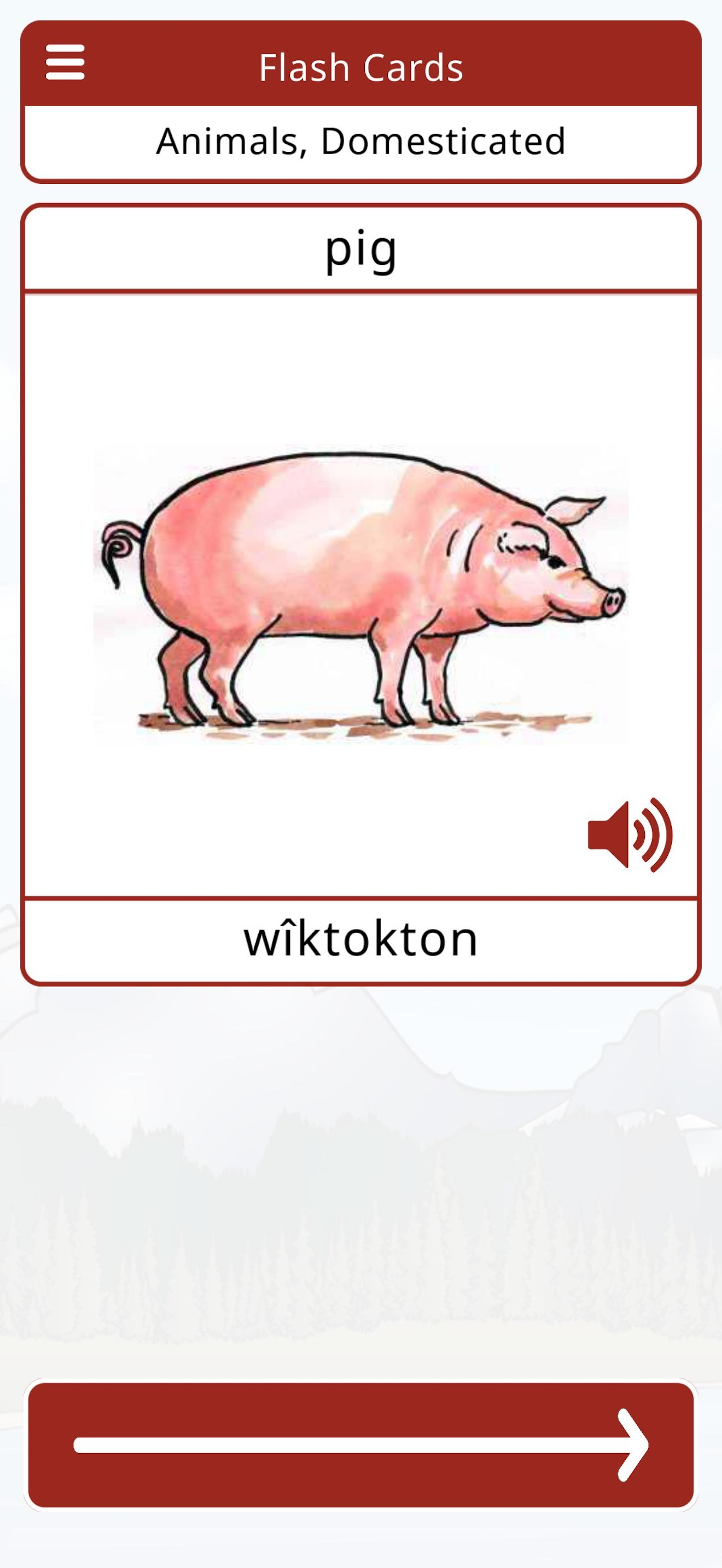 Stoney Vocab Builder 2