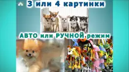 Где лишнее? Игры для малышей 2 айфон картинки 4
