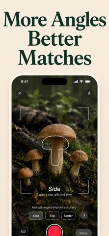 Mushroom ID: Photo Scanner iPhone screenshot