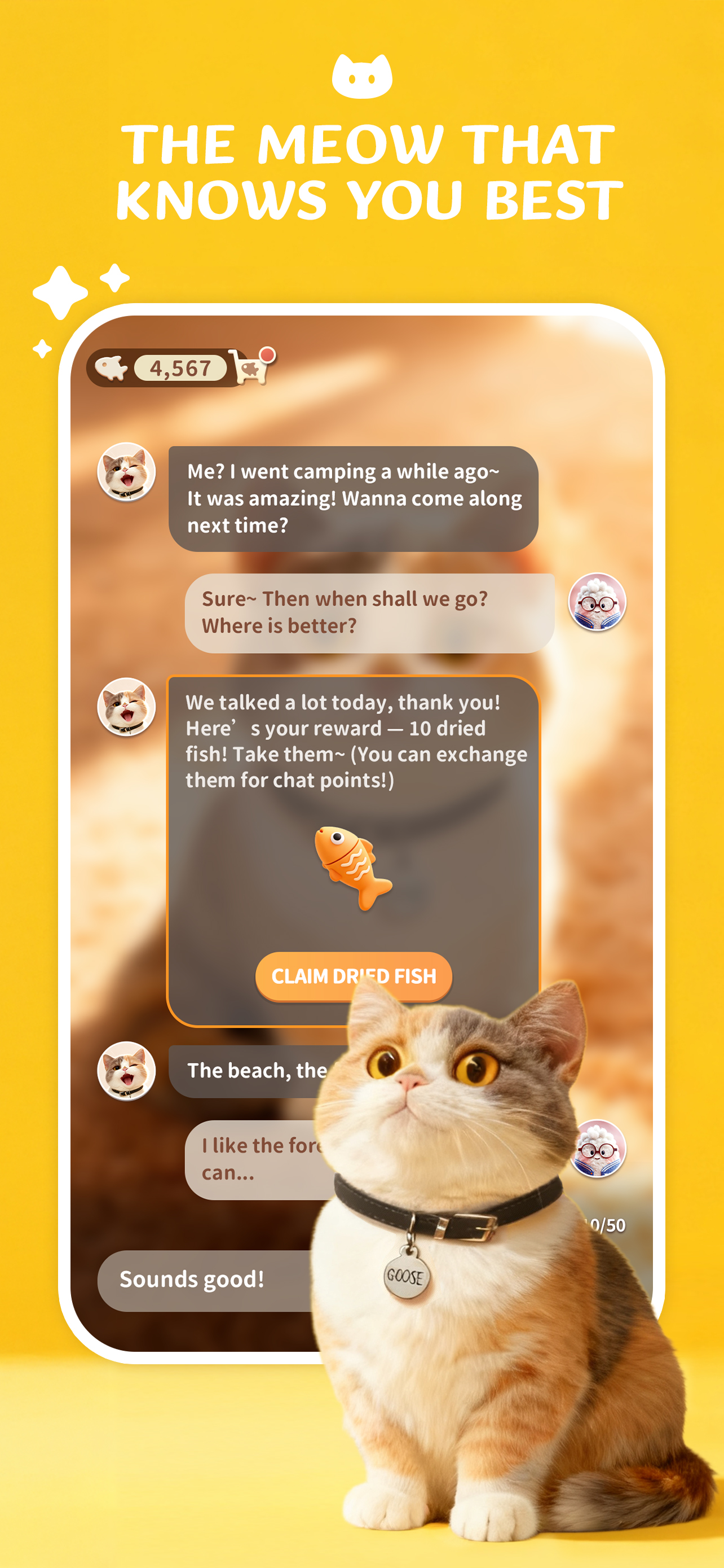 Meowster:AI猫と話せる癒しチャット screenshot 5