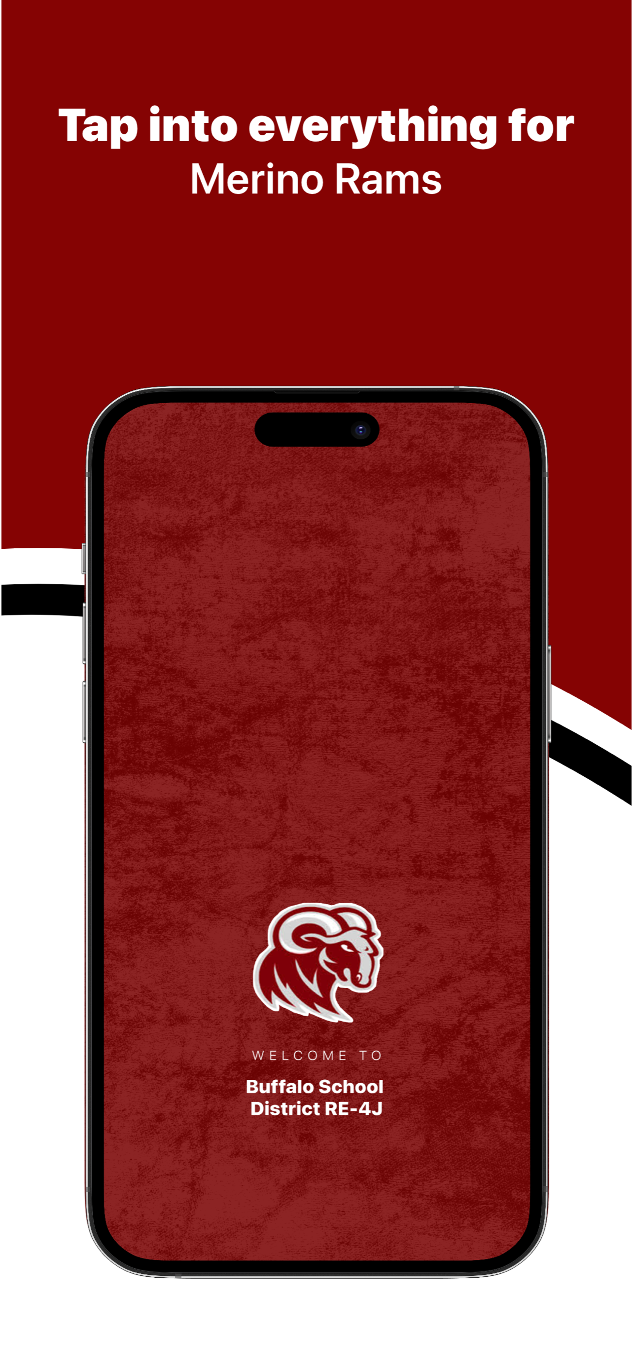 Buffalo School District Merino