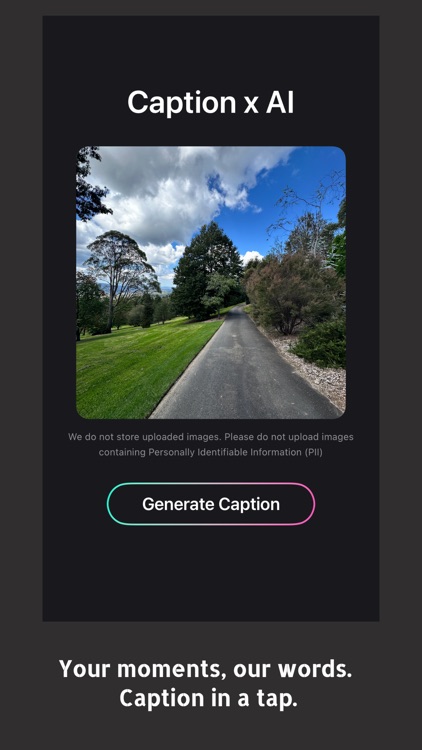 CAPI: AI Caption for Instagram