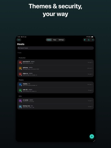 Termora SSH iPad screenshot 4