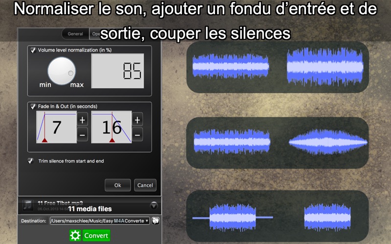 Screenshot #3 pour Easy MP3 Converter