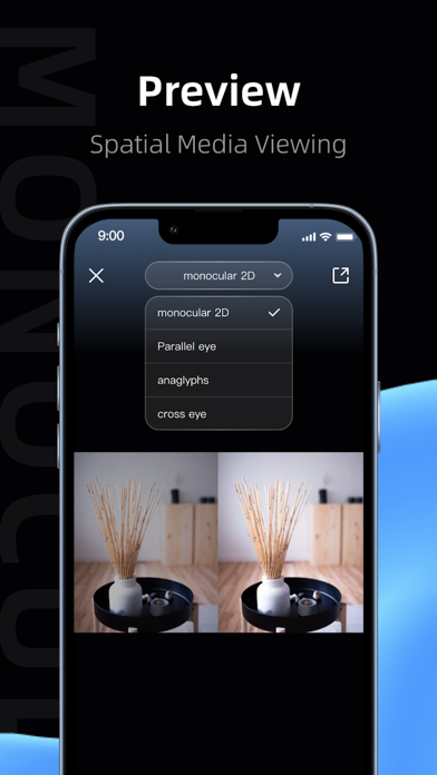 BiCamera Screenshot