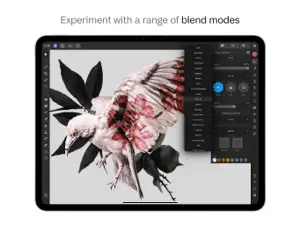 Affinity Photo 2 for iPad screenshot #3 for iPad