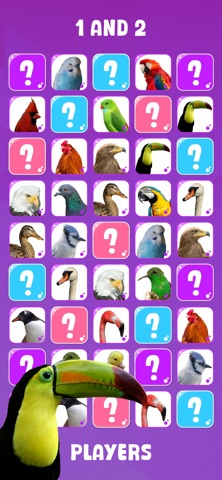 Memory Game Master Screenshot 7 of 8
