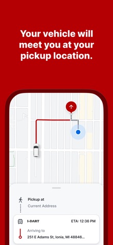 I-DART screenshot