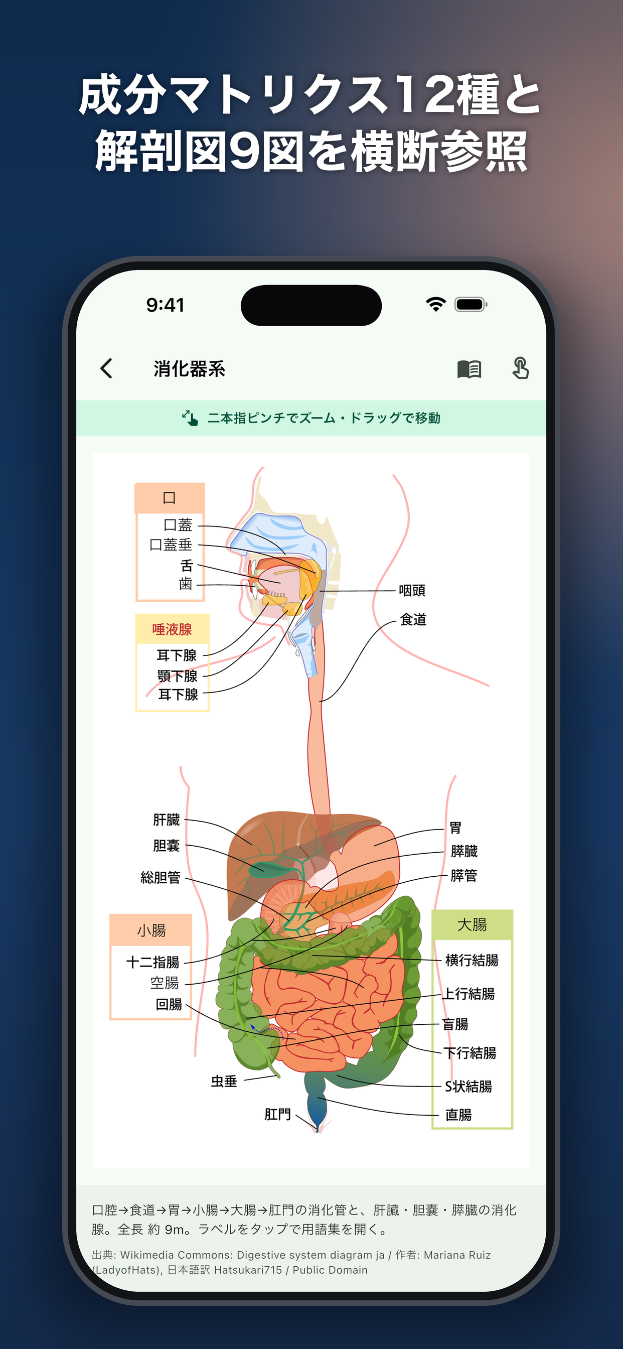 登録販売者AI 2026、独学徹底サポート screenshot 7