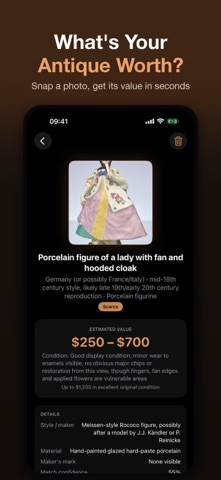 Antique ID: Value Scanner AI screenshot 1