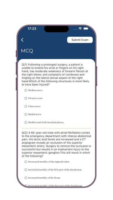 TheMetStudent Screenshot