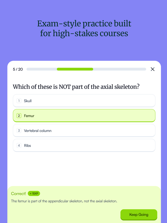 Quizgecko: AI Flashcards iPad screenshot