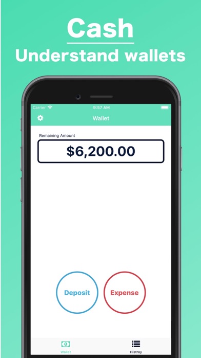 Cash / Wallet Management iPhone screenshot 1 - Finance app