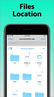 ssh client - secure shellfish iPhone Captures Décran 3