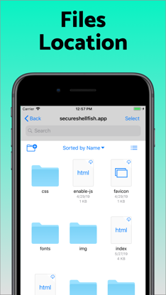 SSH Client - Secure ShellFish screenshot 3
