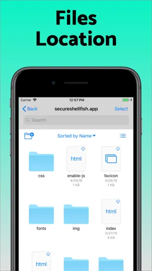 Capture d'écran de SSH Client - Secure ShellFish sur iPhone 3