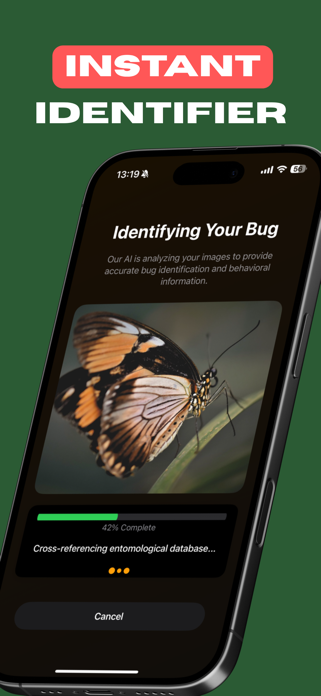 Insect Bug Identifier - Bug ID Screenshot 2 of 5