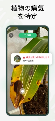 PlantGo - 植物識別子 のスクリーンショット