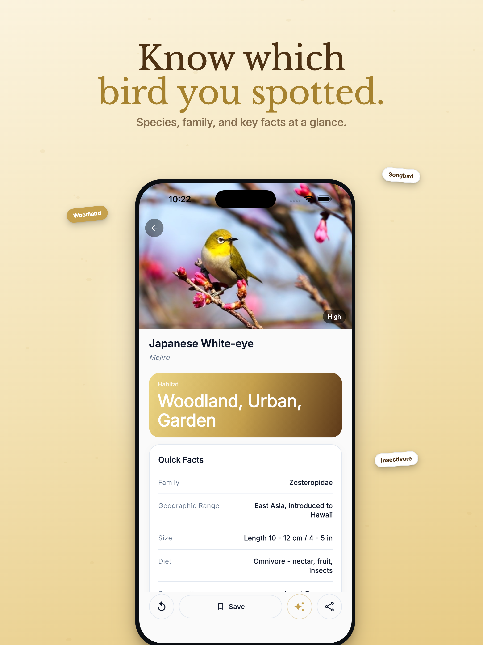 Bird Identifier — Birding ID