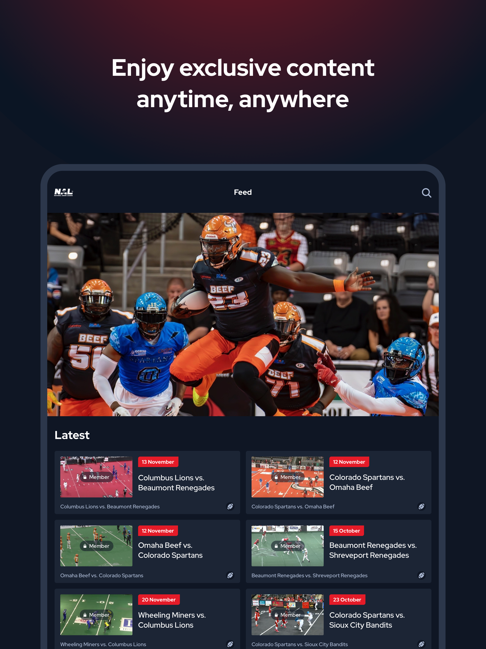 National Arena League