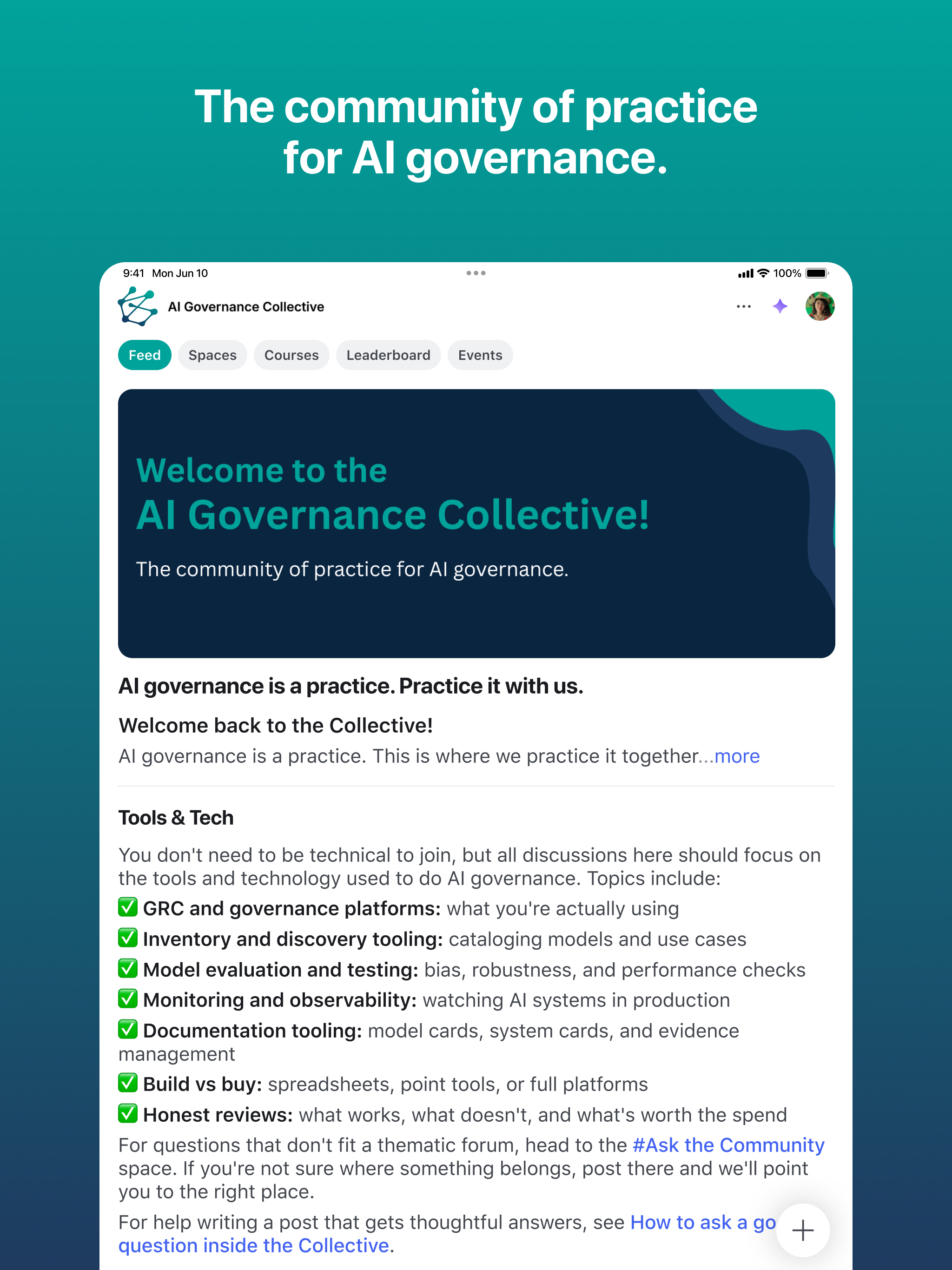 AI Governance Collective screenshot 7