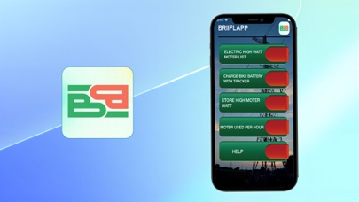 BRIIFLAPP Screenshot