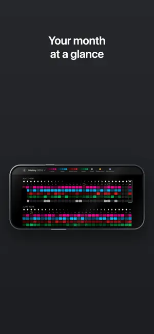 reell Focus screenshot 3