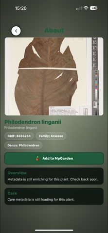 GreenPeaks: Plant Identifier Screenshot 3 of 4