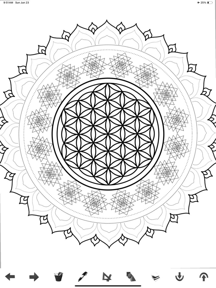 #9. Sacred Geometry Drawing App (iOS) By: Dillon Forte