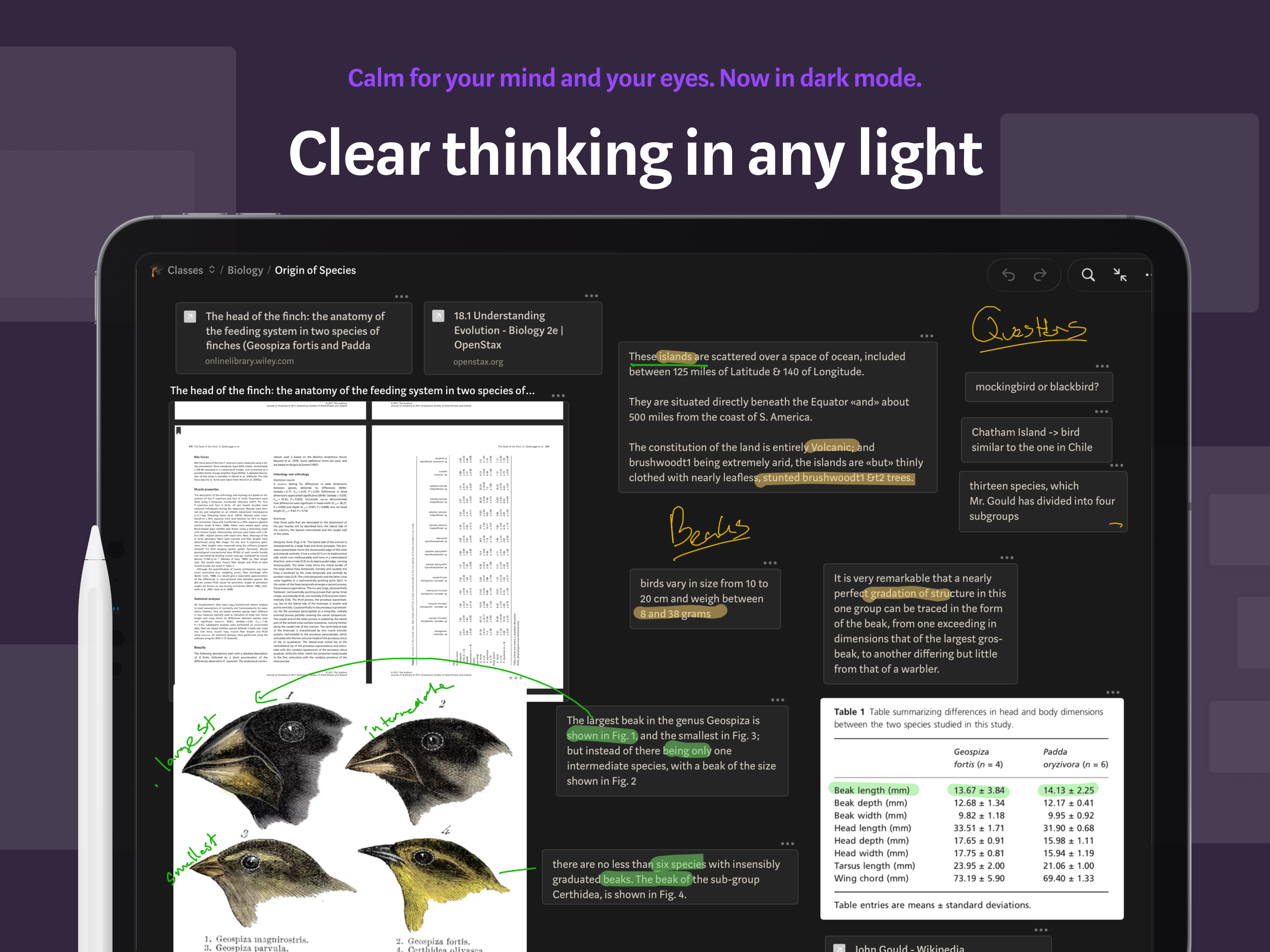Allume — for focused thinking