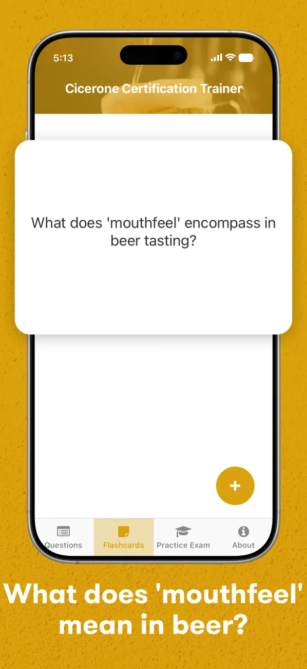 Screenshot #3 pour Cicerone Trainer Pro