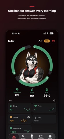 Shindo Endurance Training Screenshot 2 of 7