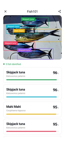 Fish Identifier - Fish101 Screenshot 3 of 6