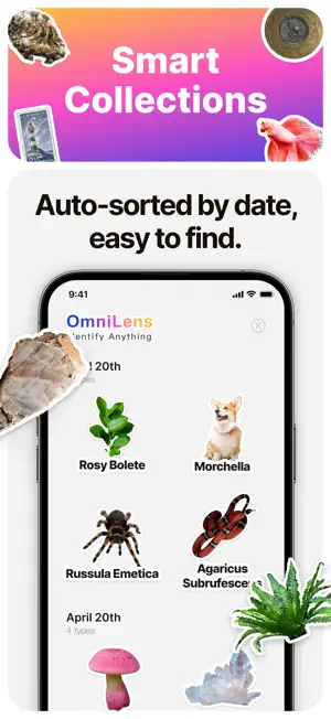 OmniLens-Identify Anything screenshot 4