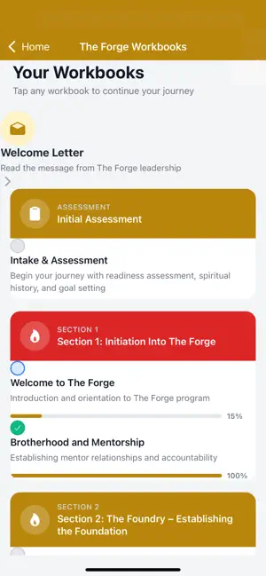 Theosis Foundation Workbook screenshot 2