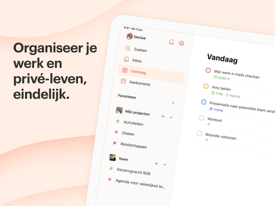 Todoist: to do list & agenda iPad app afbeelding 1