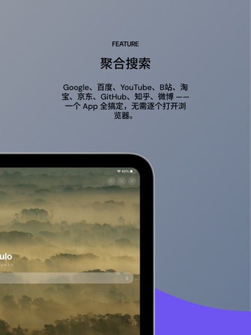 Soulo: Multi Search Browser iPad screenshot