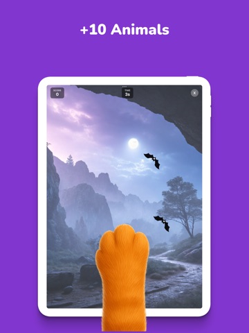 Games for Cats - Cat Toys iPad screenshot