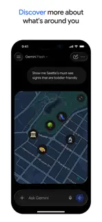 Google Gemini screenshot 9