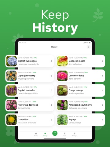 Plant Identifier - Plantium iPad screenshot