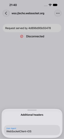 Simple WebSocket Client Screenshot 4 of 4