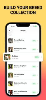 BreedAI - Dog Breed Identifier screenshot 5
