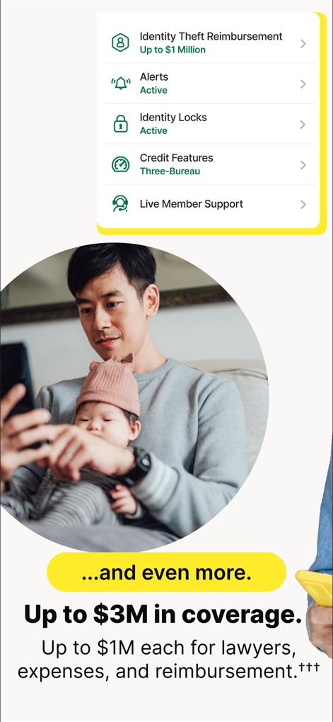 LifeLock Identity - Explore the breadth of services offered, including 'Identity Theft Reimbursement' and access to 'Live Member Support', detailing the comprehensive coverage benefits.