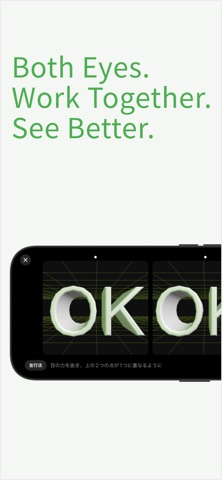 GaborVision screenshot