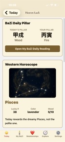 My BaZi Astrology screenshot