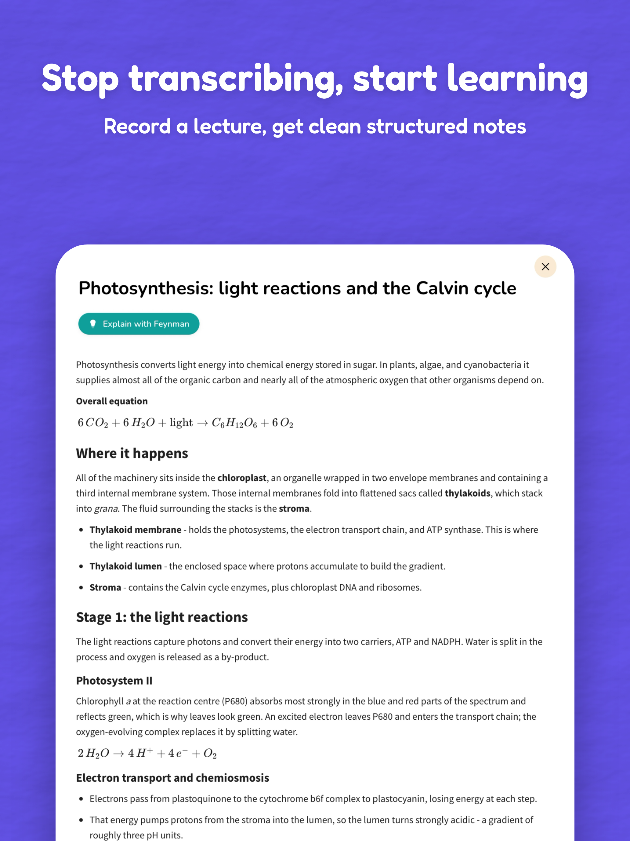Ankra: AI Notes & Flashcards screenshot 9