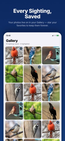 BirdSpot - Where the birds at? screenshot 5