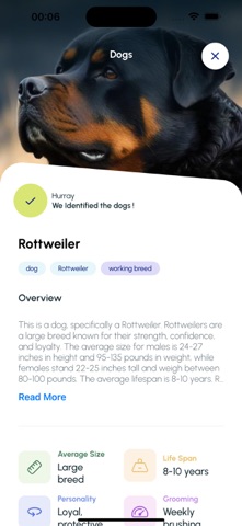 IDNet AI Screenshot 10 of 10