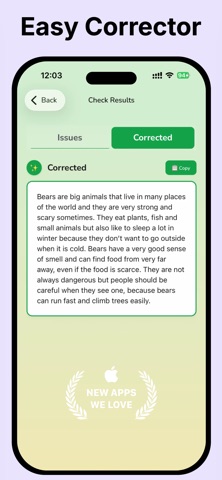 NW: Grammar Check & Corrector screenshot